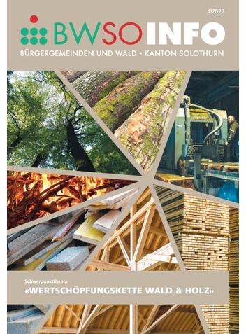 Moderner Holzbau - Visionen 